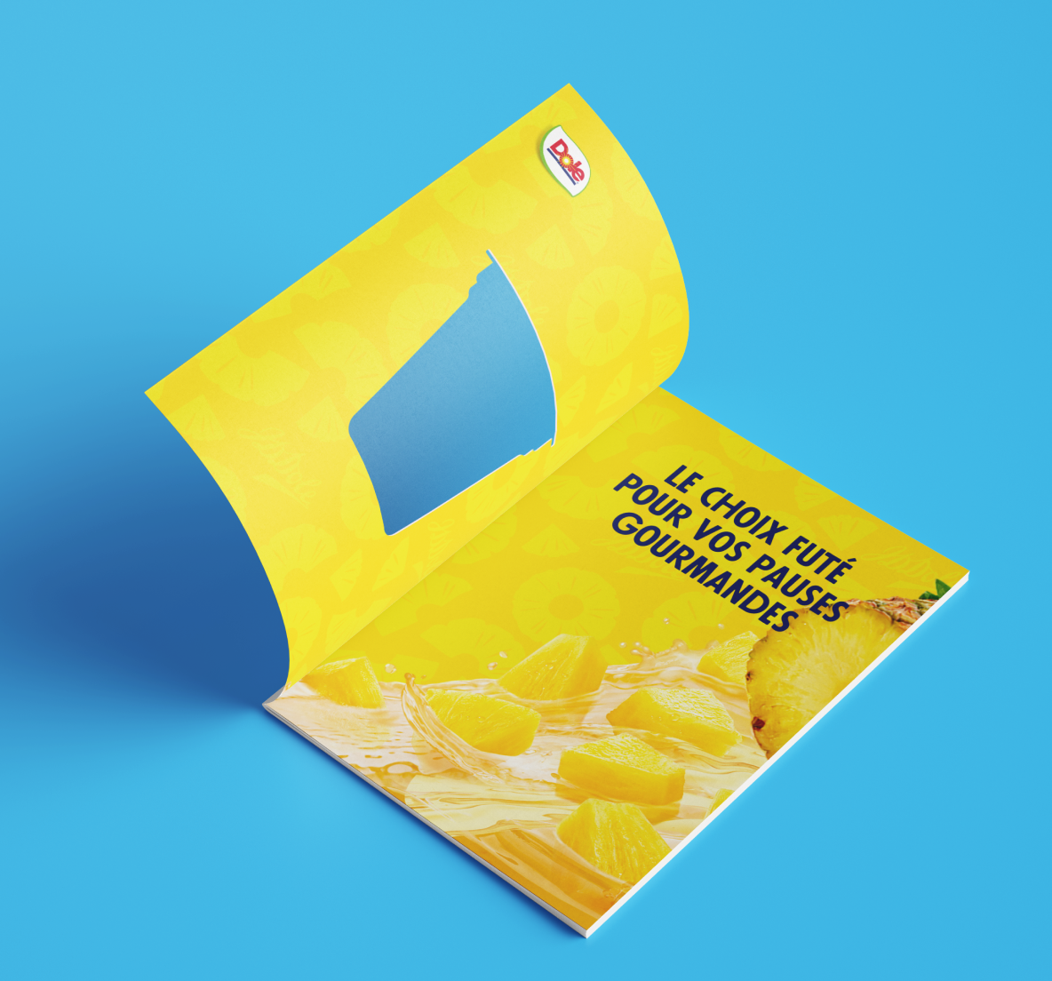 Couverture (et sa découpe) de la brochure Dole